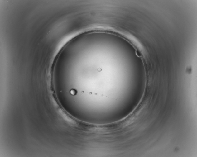 X0000102341287200808011132