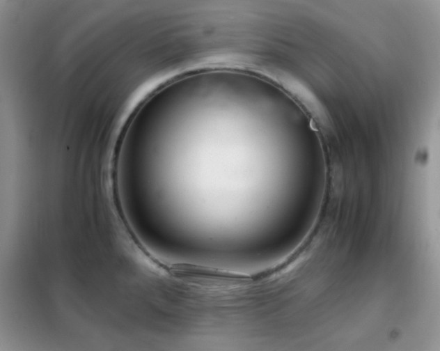 X0000102341288200808011132