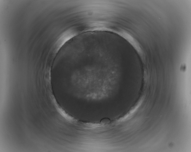 X0000102341289200808011132