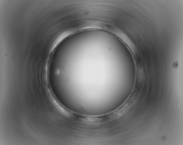 X0000102341290200808011132