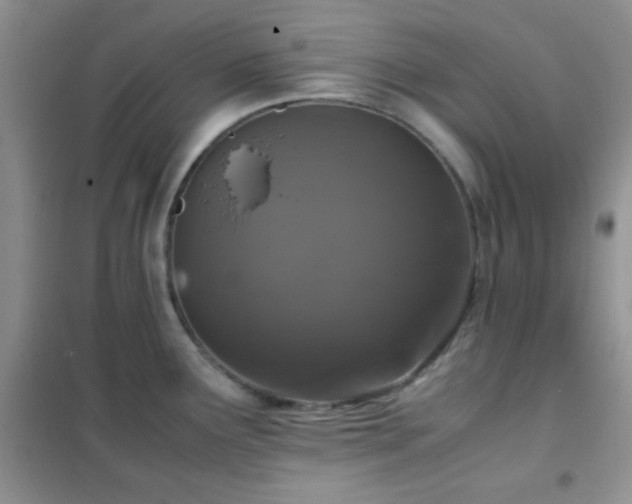 X0000102341291200808011132