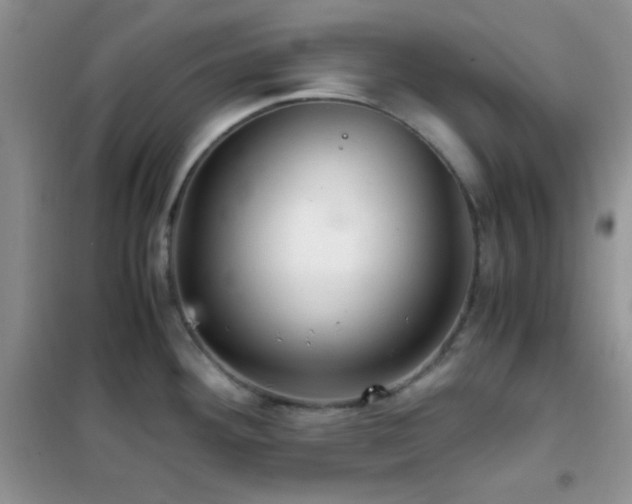 X0000102341292200808011132