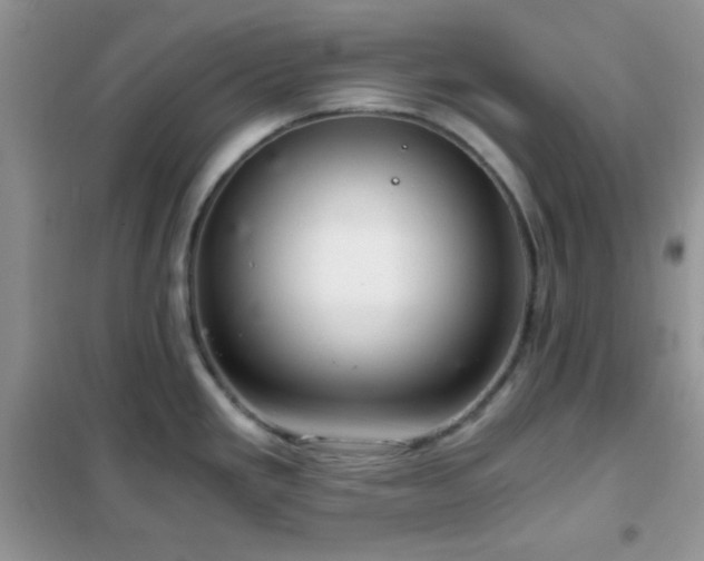 X0000102341293200808011132