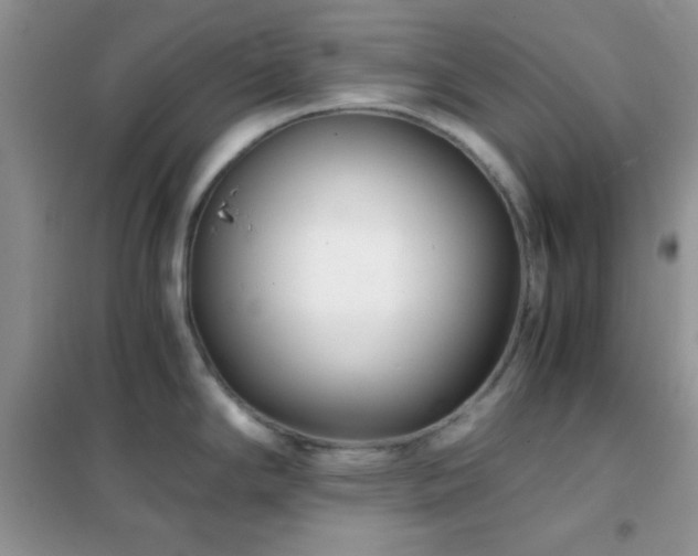 X0000102341294200808011132