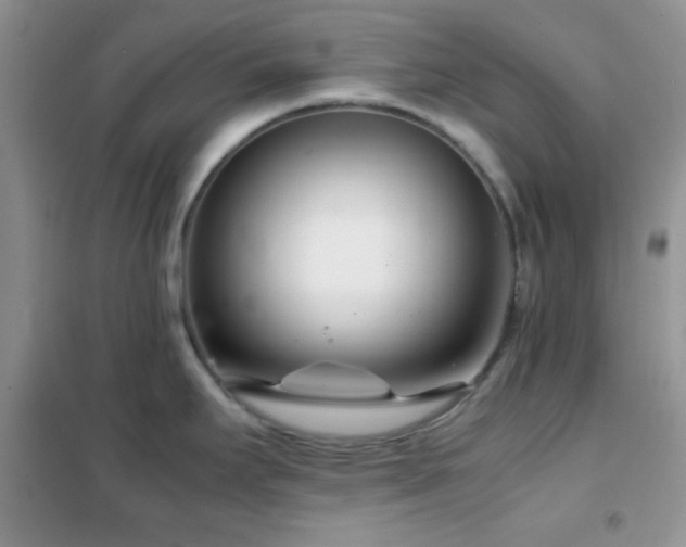 X0000102341295200808011131