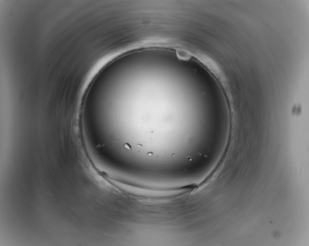 X0000102341296200808011131