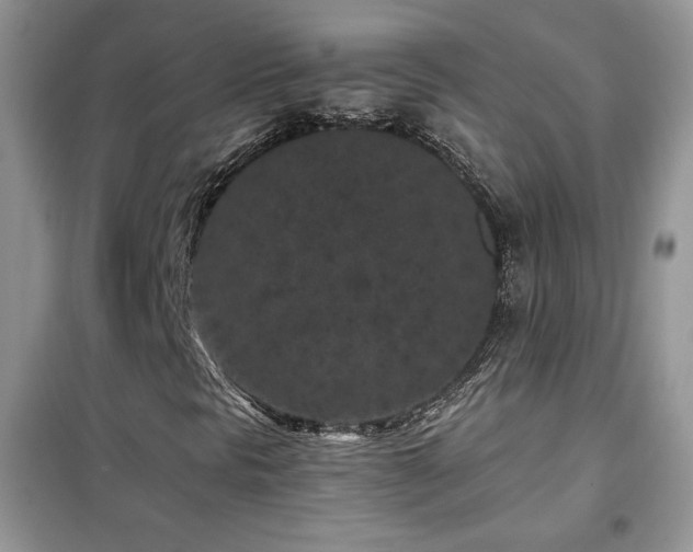 X0000102341297200808011131