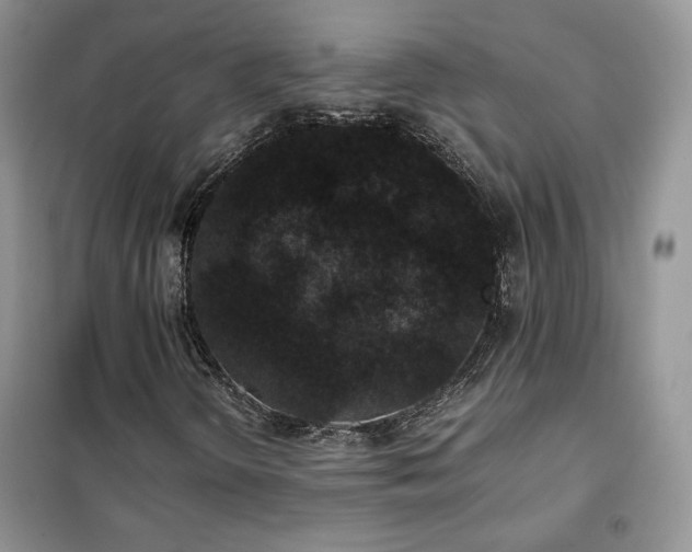 X0000102341298200808011131