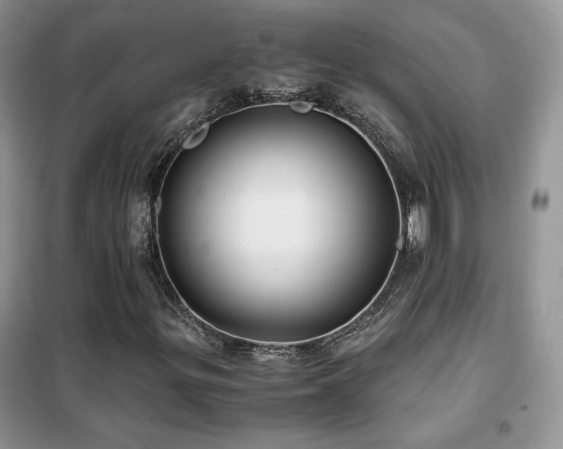 X0000102341299200808011131