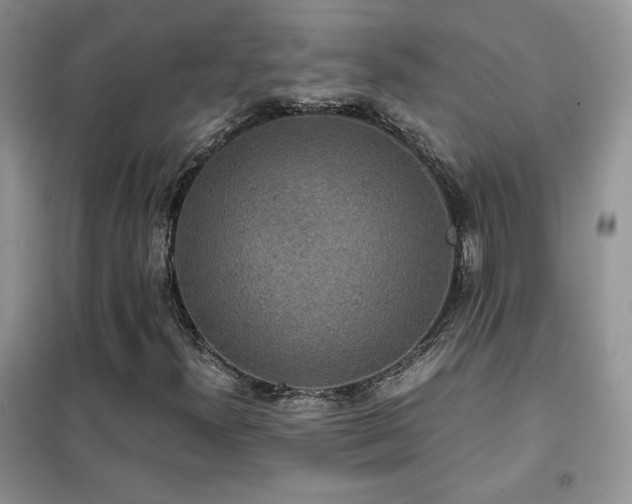 X0000102341300200808011131