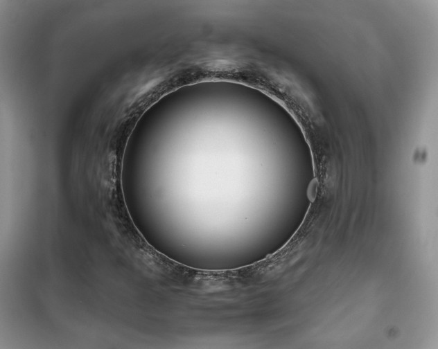 X0000102341301200808011131