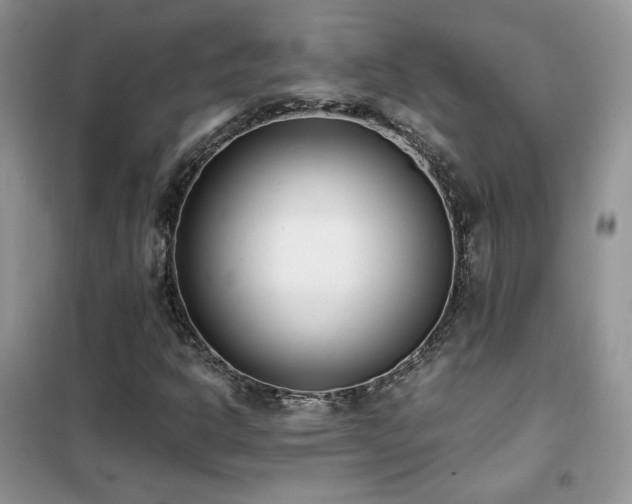 X0000102341302200808011131