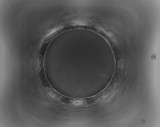 X0000102341303200808011131