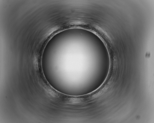 X0000102341305200808011131