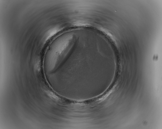 X0000102341306200808011131