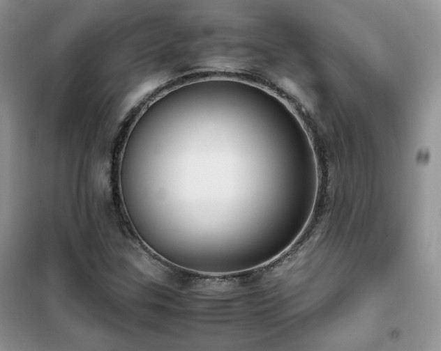 X0000102341307200808011131