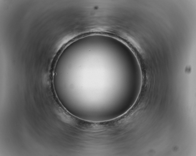 X0000102341308200808011131