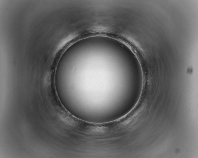 X0000102341309200808011131