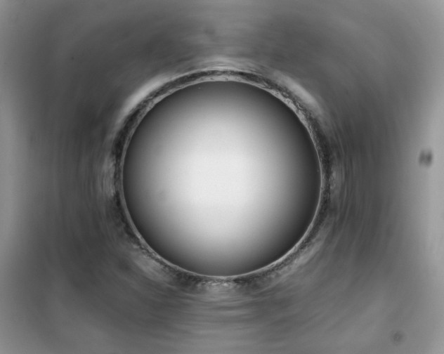 X0000102341310200808011131