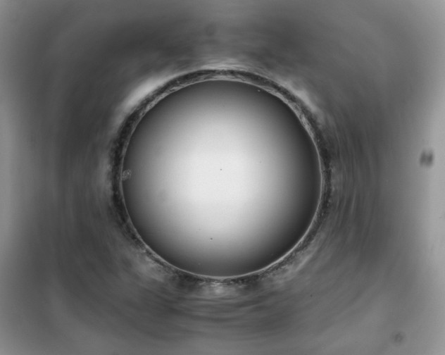 X0000102341311200808011131