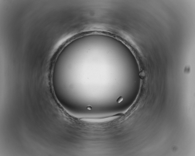 X0000102341312200808011131