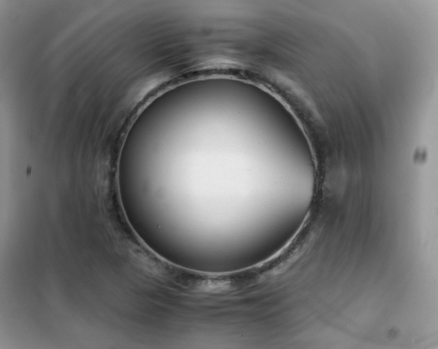 X0000102341313200808011131