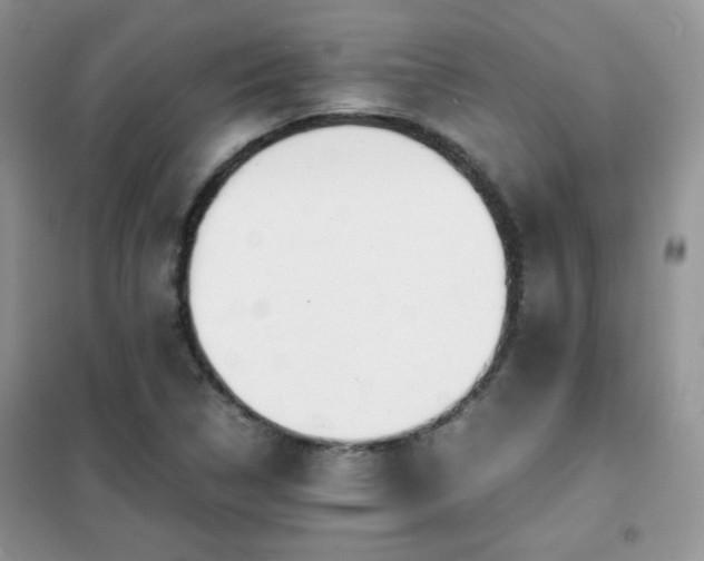 X0000102341314200808011131