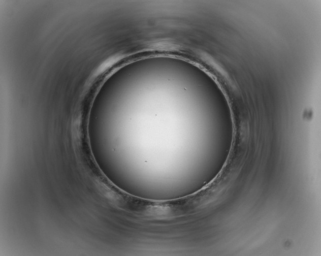 X0000102341315200808011131