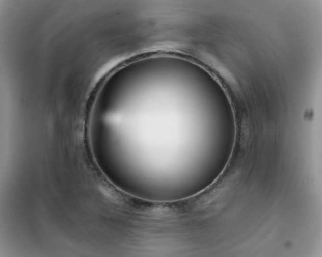 X0000102341316200808011131