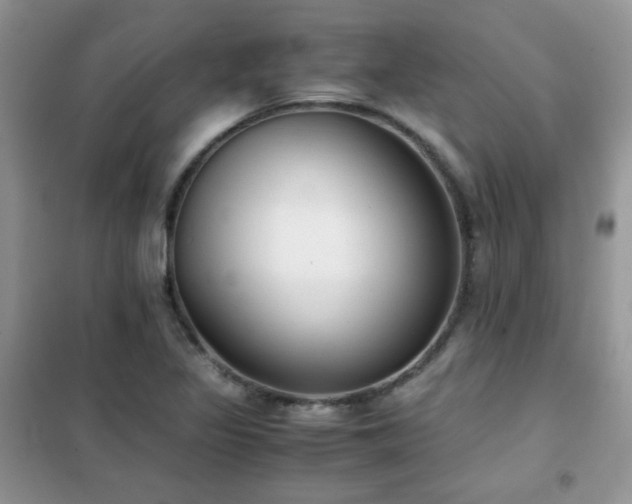 X0000102341317200808011131