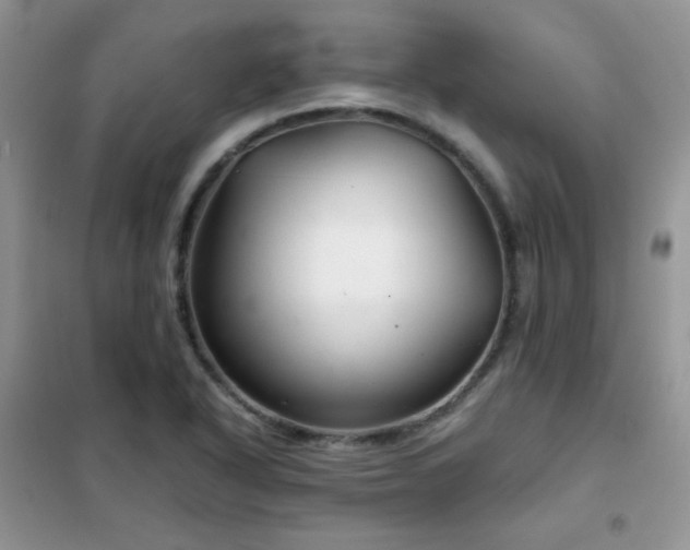 X0000102341318200808011131