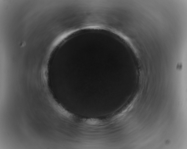 X0000102341319200808011131