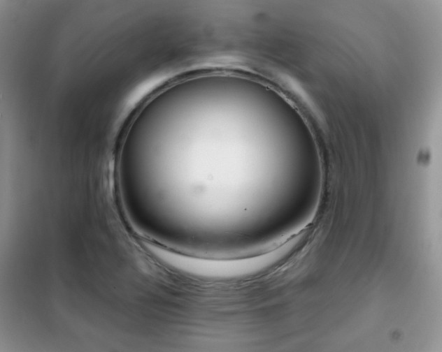 X0000102341320200808011131