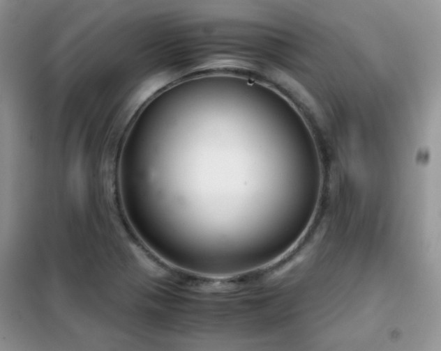 X0000102341321200808011131