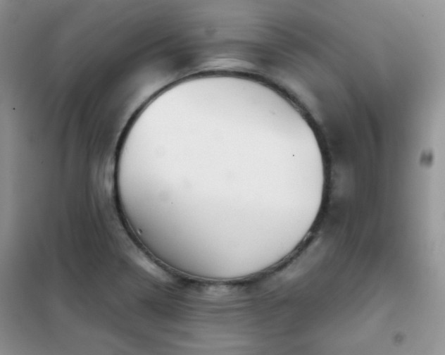 X0000102341322200808011131