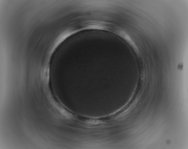 X0000102341323200808011131