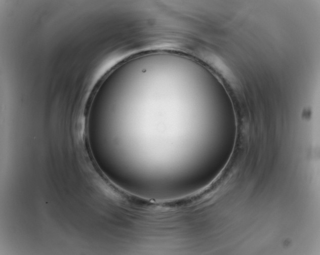 X0000102341324200808011131