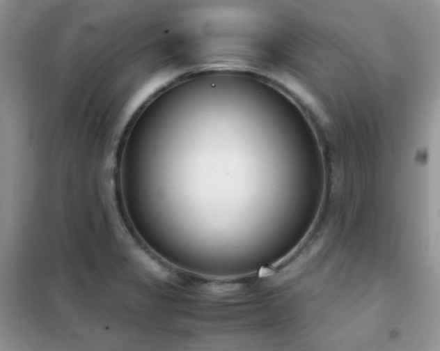 X0000102341325200808011131