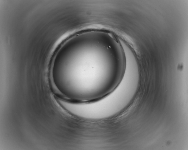 X0000102341326200808011131