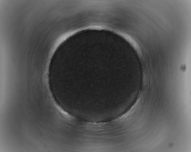 X0000102341327200808011131