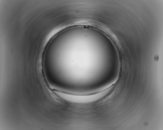 X0000102341328200808011131