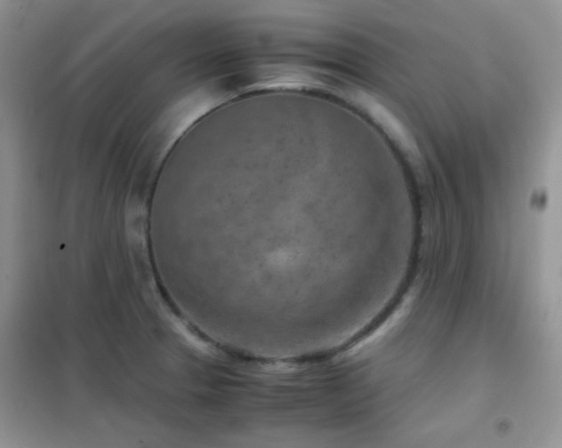 X0000102341329200808011131