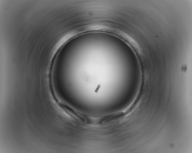 X0000102341330200808011131