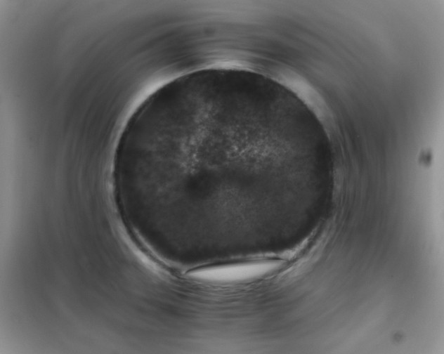 X0000102341331200808011131