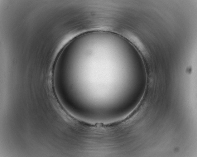 X0000102341332200808011131