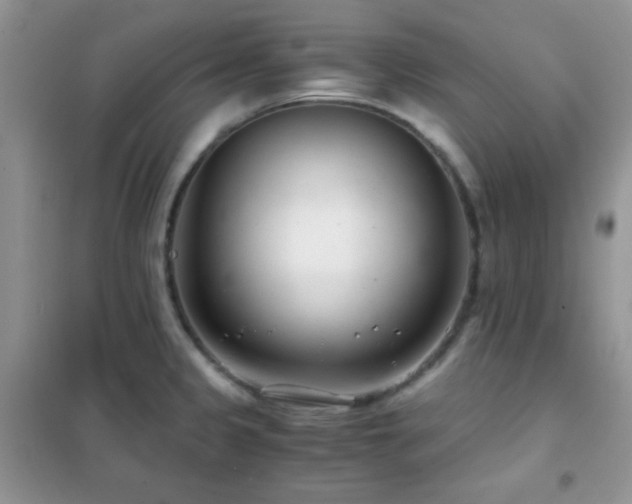 X0000102341333200808011131