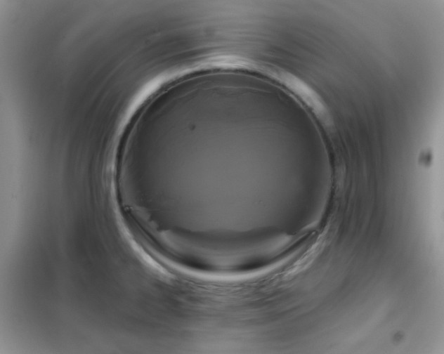 X0000102341334200808011131