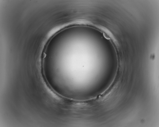 X0000102341335200808011131