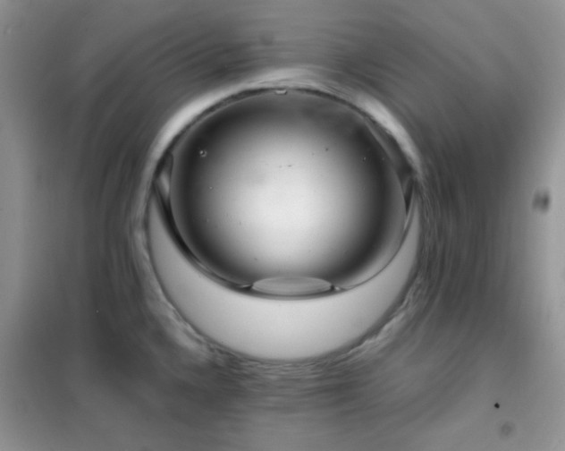 X0000102341336200808011131