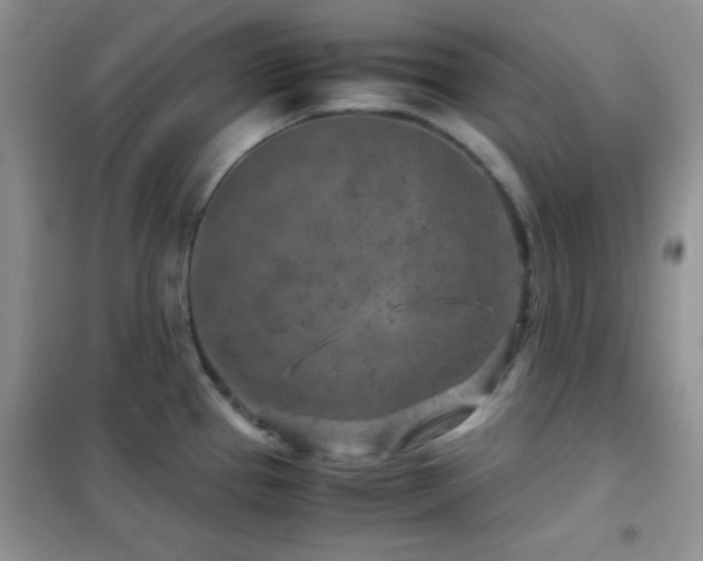 X0000102341337200808011131